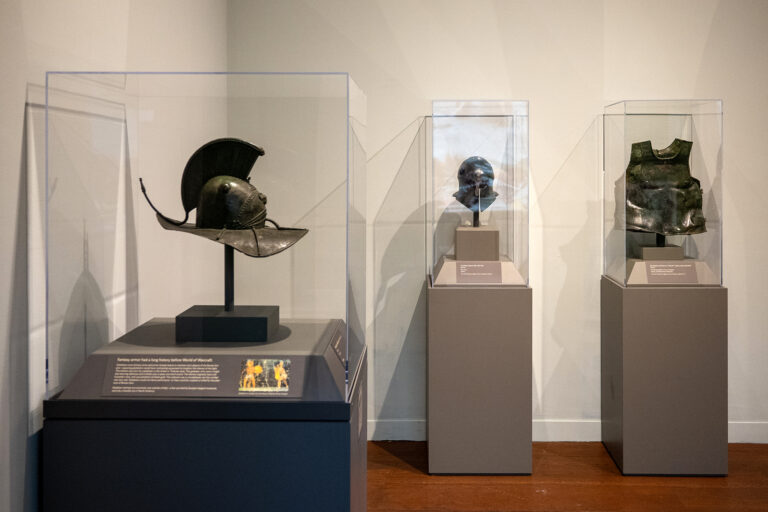 Examples of armor on display