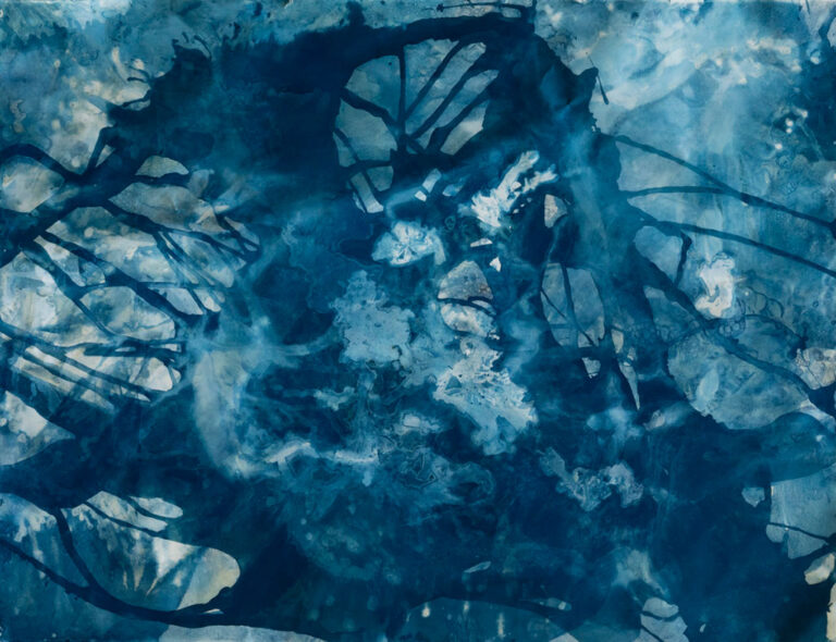 Camilla Jerome, 'Bodies of Water No. 072', 2023, cyanotype, water from the Atlantic Ocean, seaweed, and soap on Stonehenge watercolor paper