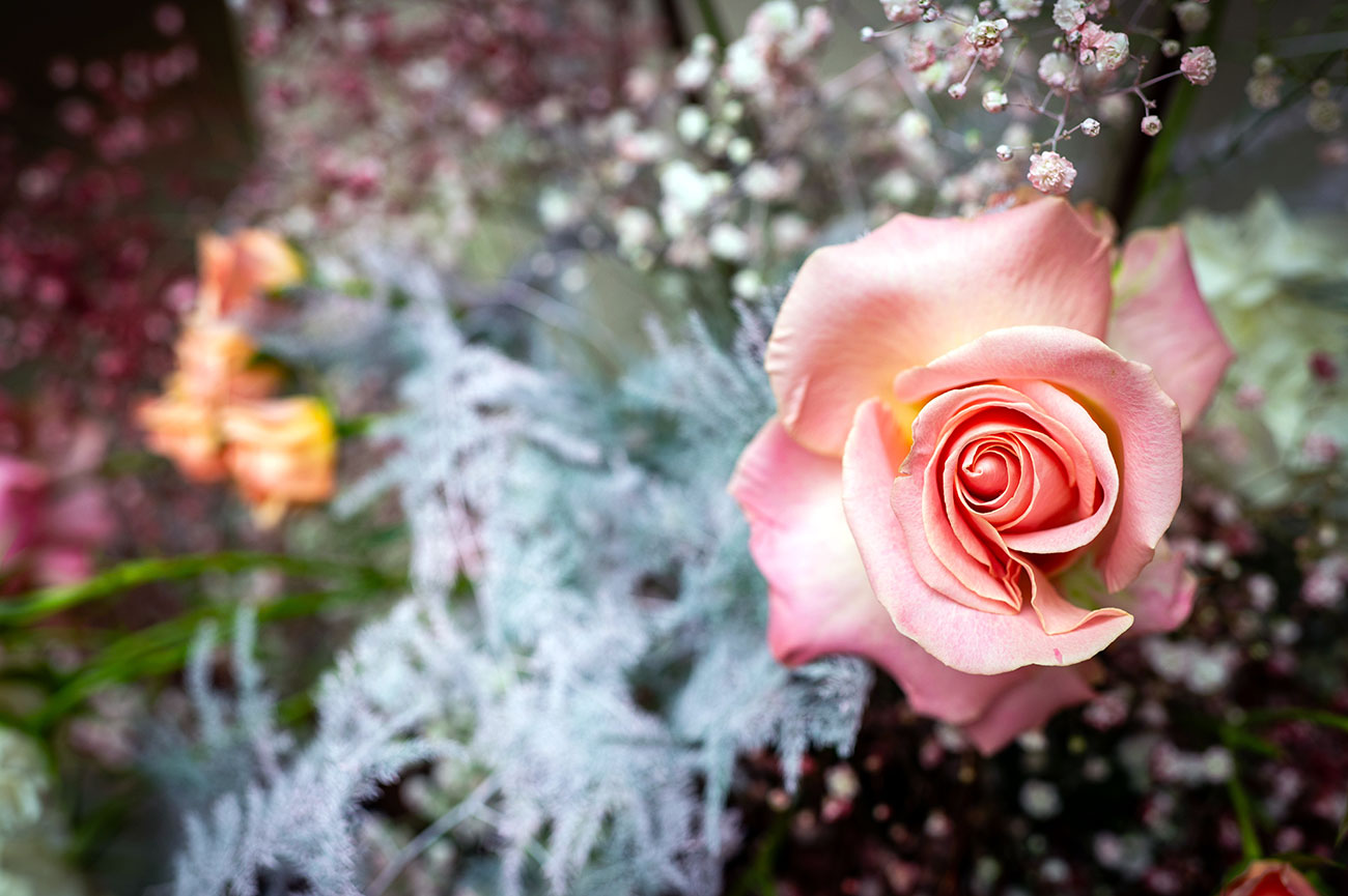 Close-up of a pink rose in a floral arrangement