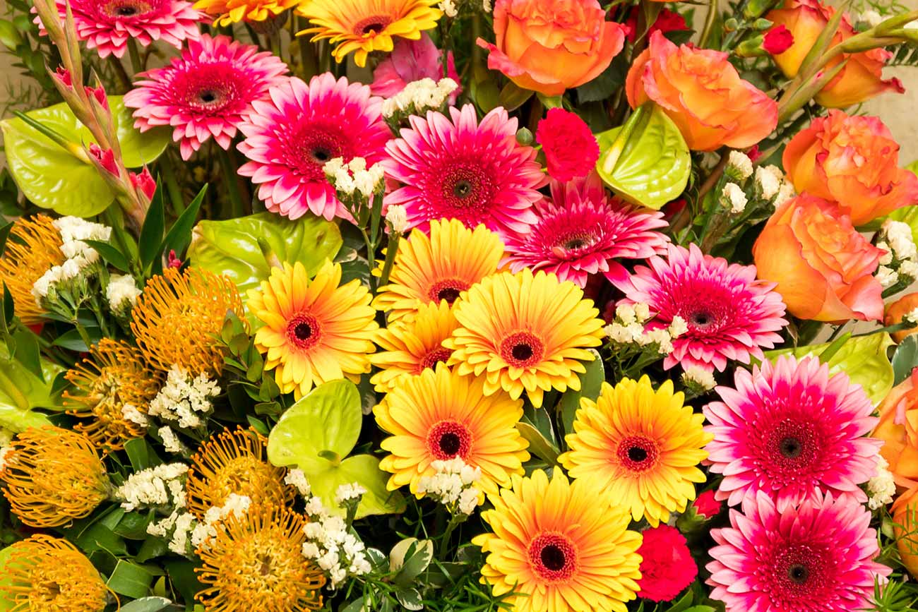 A colorful floral arrangement